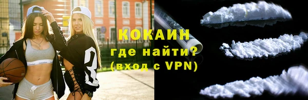 спайс Ельня