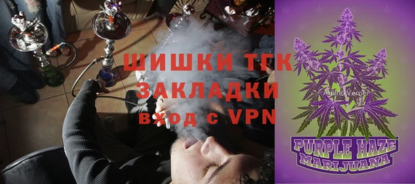 спайс Ельня