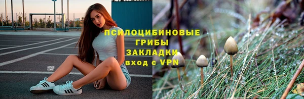 ешки Елизово