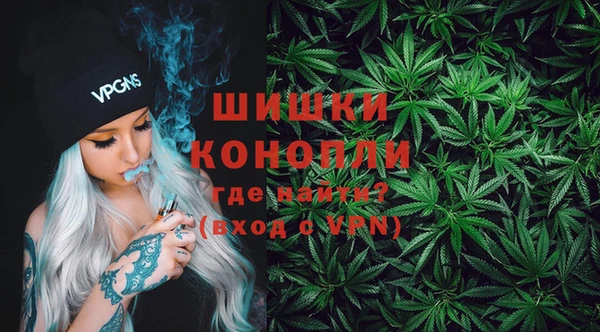 спайс Ельня
