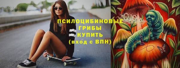 спайс Ельня