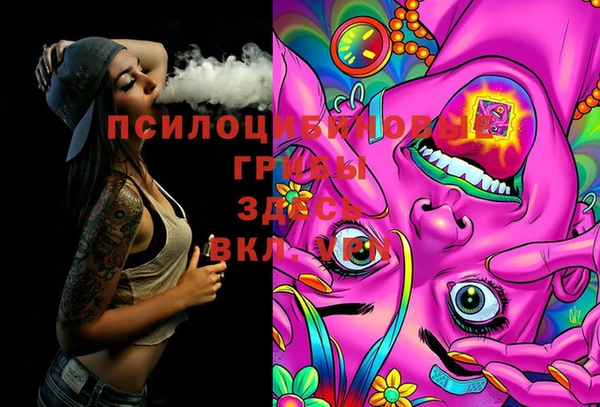 ешки Елизово