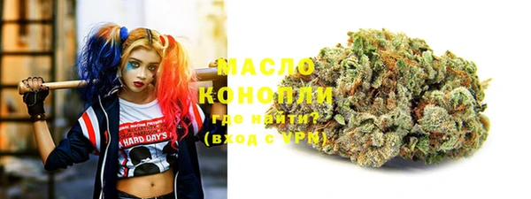 спайс Ельня